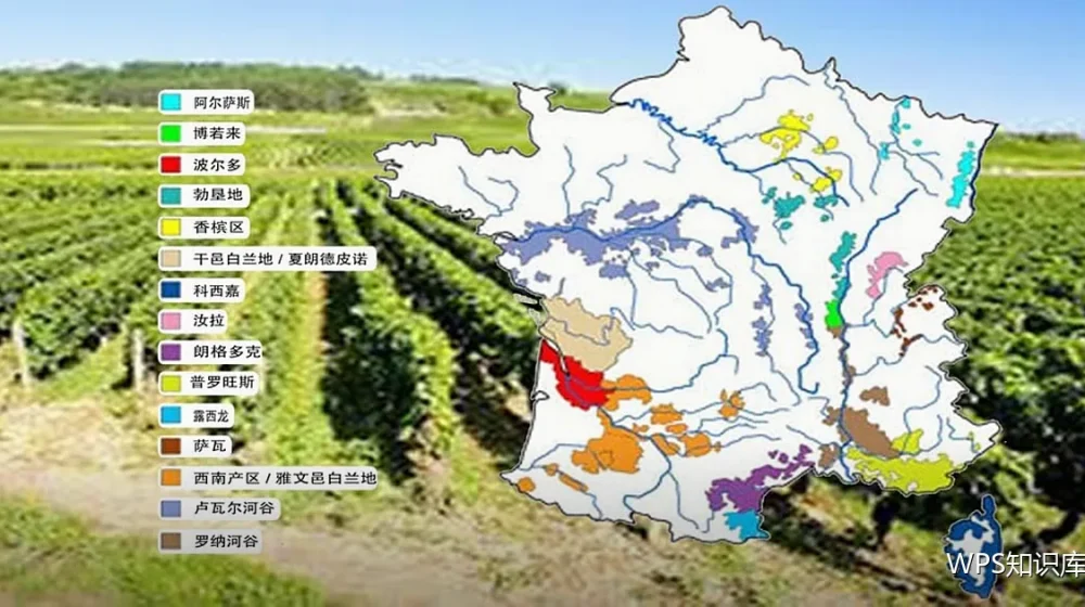 字体与配色规范：材料风格的统一标准