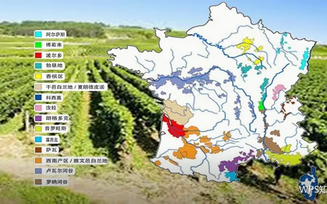 字体与配色规范：材料风格的统一标准